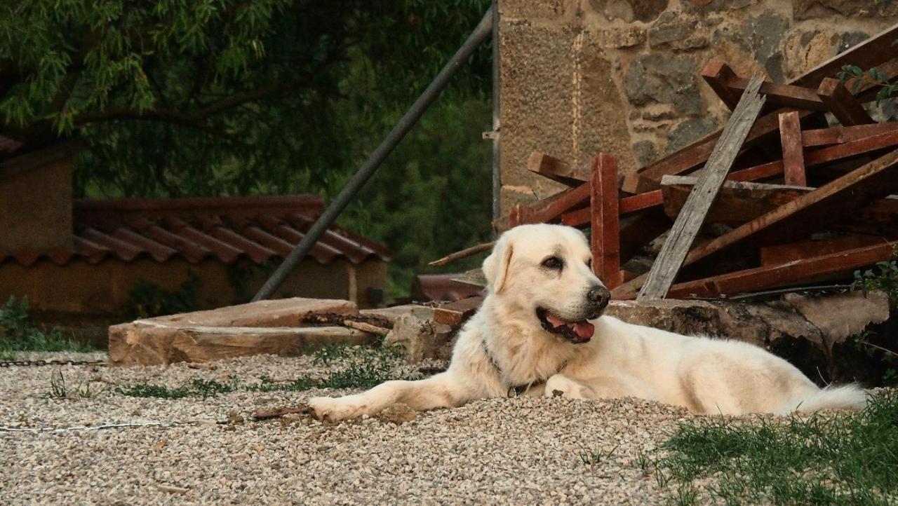 Masia La Clariana Castelltallat Exteriör bild